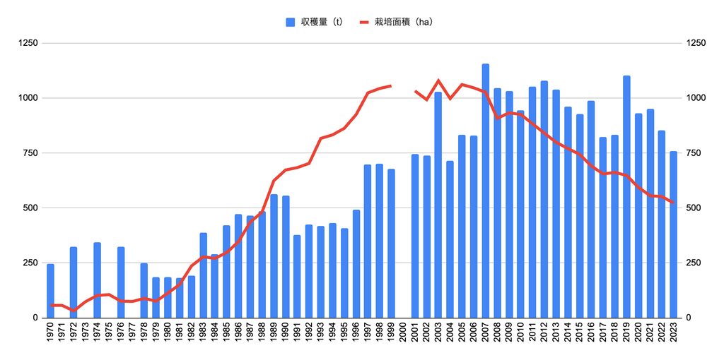 全国のぎんなん収穫量と栽培面積の推移グラフ。1970年から2023年まで。収穫量は棒グラフで、2007年の1,156トンが最高、2023年は759.5トン。栽培面積は折れ線で、2003年の1,079ヘクタールから2023年は522.5ヘクタールへ半減している。