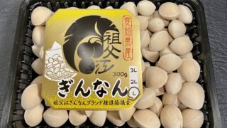 【2025年版】楽天ふるさと納税で選べる「ぎんなん」返礼品まとめ|祖父江・東京新銀杏ほか人気自治体を比較